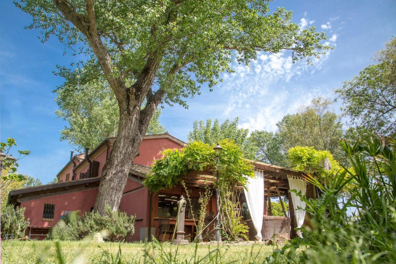 Ca' Barbona Bed & Breakfast Лидо ди Класе Екстериор снимка