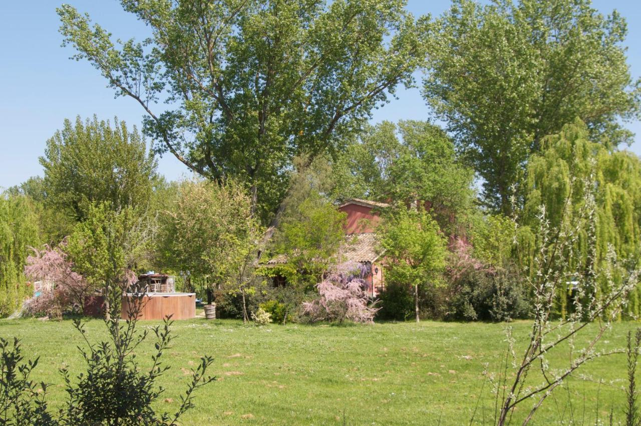 Ca' Barbona Bed & Breakfast Лидо ди Класе Екстериор снимка