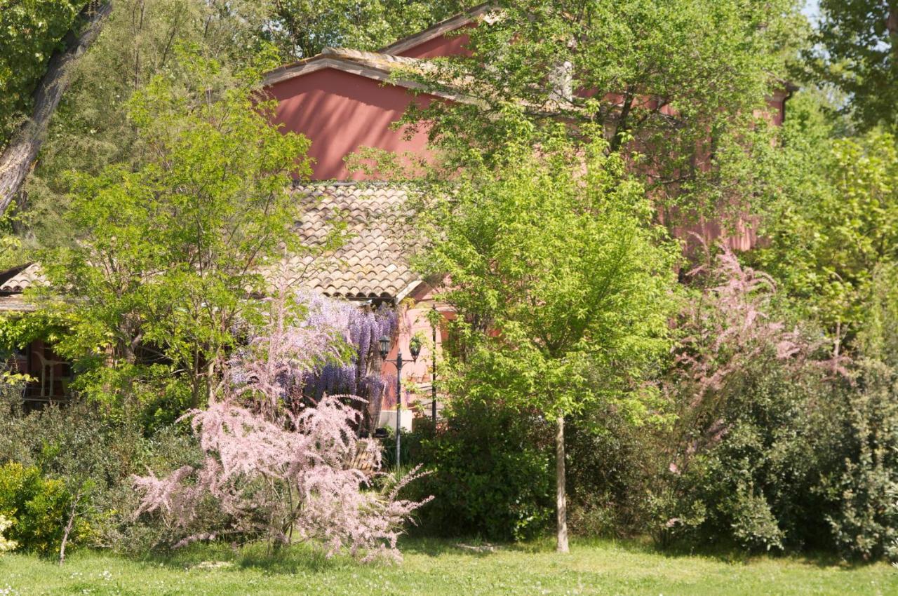 Ca' Barbona Bed & Breakfast Лидо ди Класе Екстериор снимка