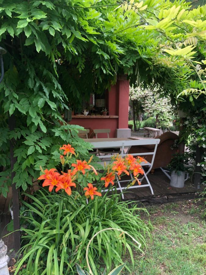 Ca' Barbona Bed & Breakfast Лидо ди Класе Екстериор снимка